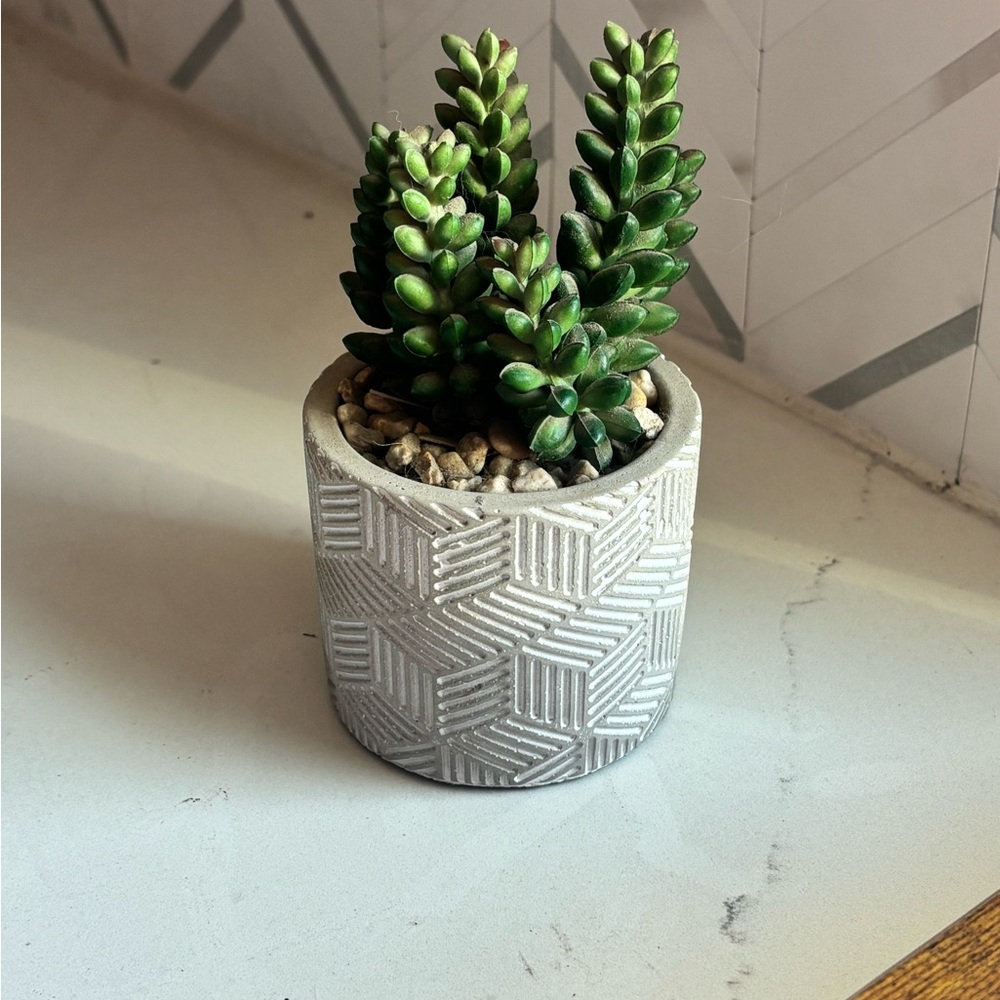 Geometric Patterned Planter with Faux Succulent